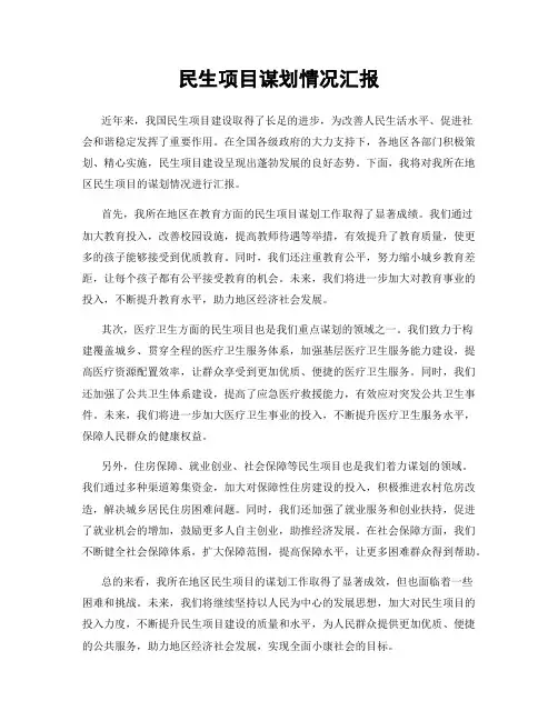 民生项目谋划情况汇报
