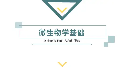 微生物菌种的选育和保藏--诱变育种