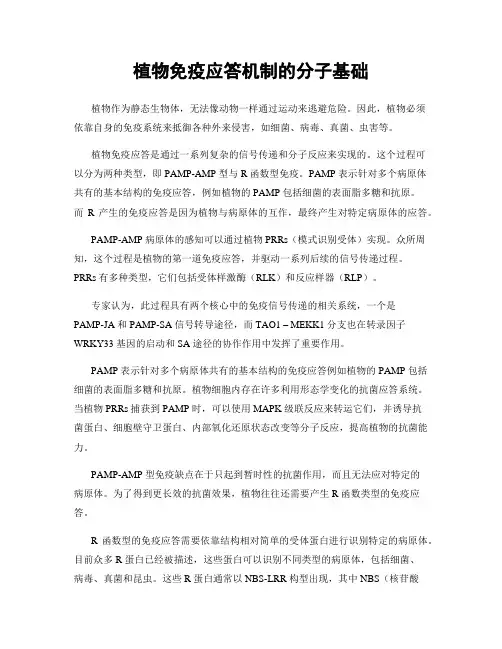 植物免疫应答机制的分子基础