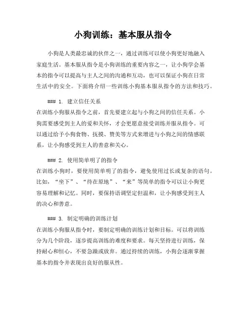 小狗训练：基本服从指令