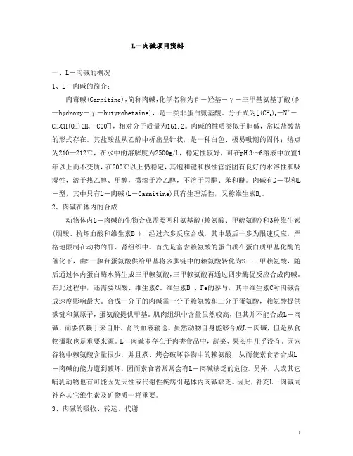 L-肉碱项目报告