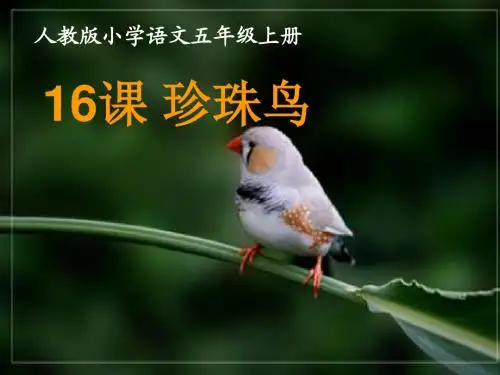 教师版小学语文四年级上册-第四单元-《珍珠鸟》