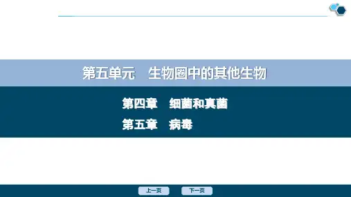 3 第四章 细菌和真菌 第五章 病毒