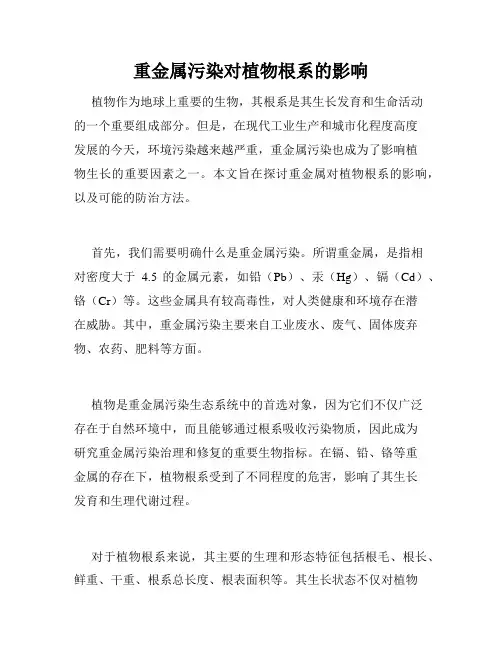 重金属污染对植物根系的影响