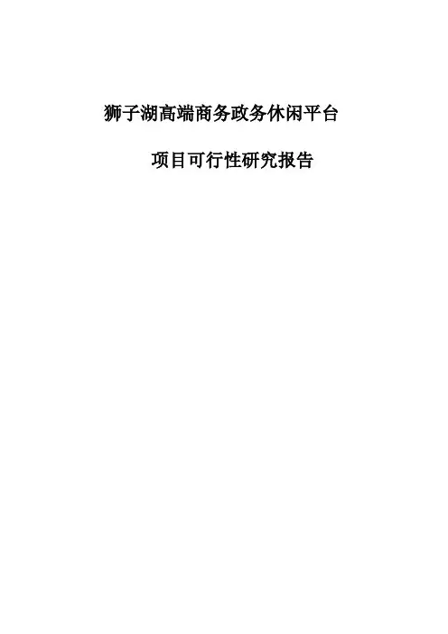 某湖高端商务政务休闲平台项目可行性研究报告