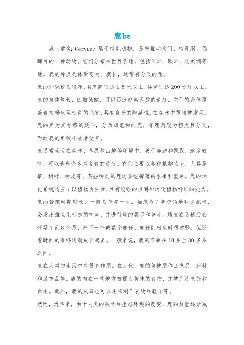 鹿be_优质资料
