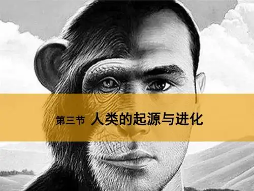 北师大版八下生物 21.3人类的起源与进化 课件  (共40张PPT)