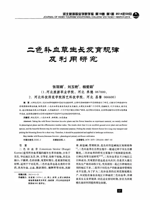 二色补血草生长发育规律及利用研究