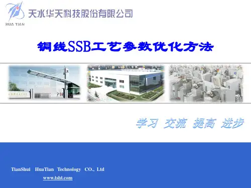 BSOB参数优化