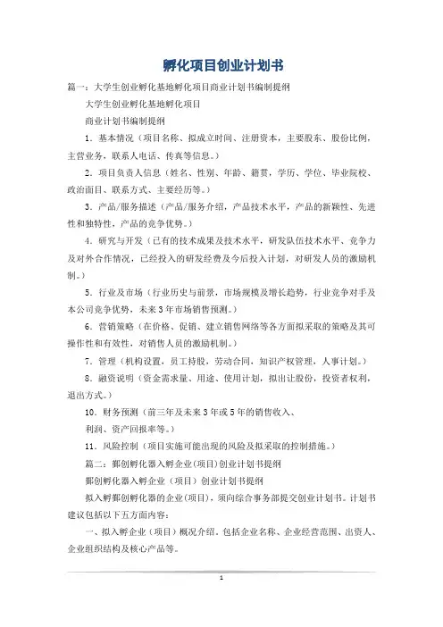 孵化项目创业计划书