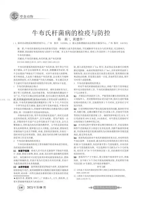 牛布氏杆菌病的检疫与防控