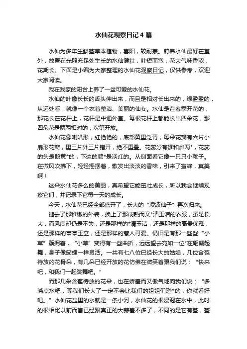 水仙花观察日记4篇