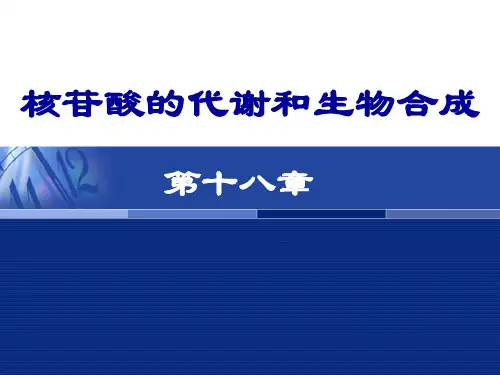 18-核苷酸的代谢和生物合成