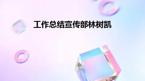 工作总结宣传部林树凯PPT