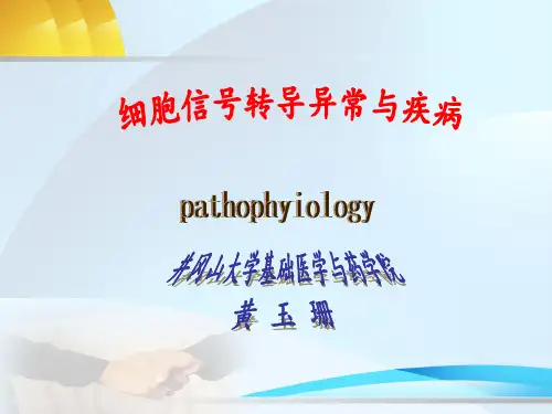 酪氨酸蛋白激酶受体
