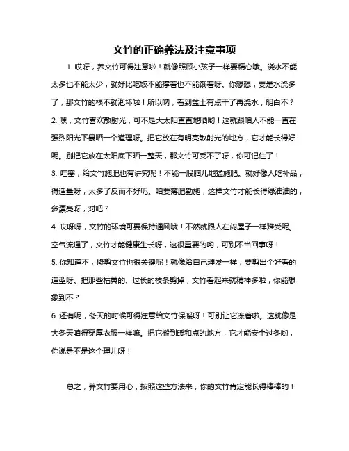 文竹的正确养法及注意事项