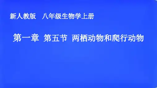 人教版生物八年级上册5.1.5两栖动物和爬行动物 课件
