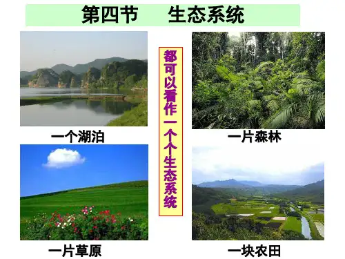 《生态系统》PPT课件