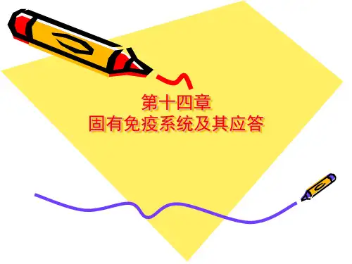 《免疫学》固有免疫系统及其应答