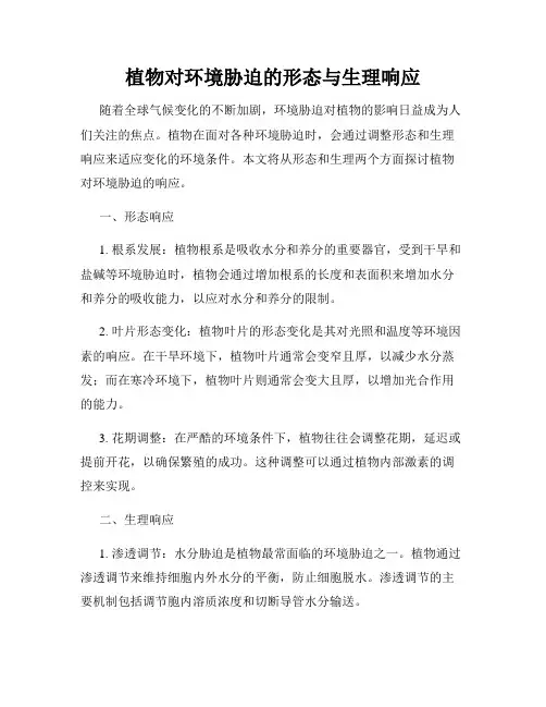 植物对环境胁迫的形态与生理响应