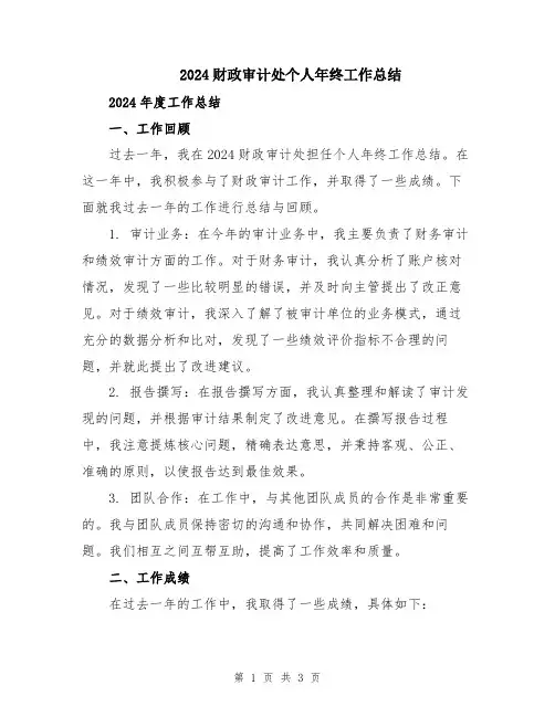 2024财政审计处个人年终工作总结