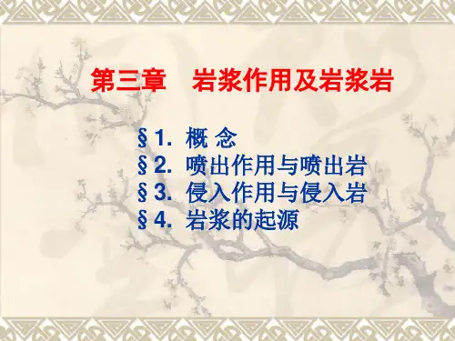 岩浆岩