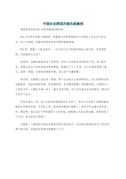 中国企业跨国并购失败案例