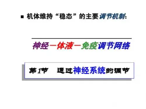 高三一轮复习---神经调节