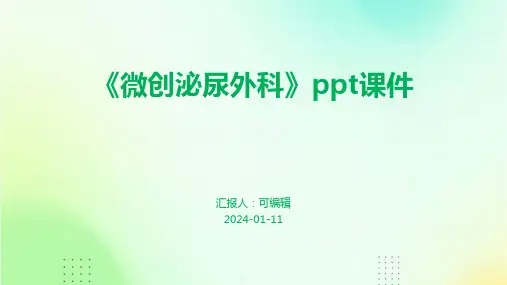 《微创泌尿外科》PPT课件