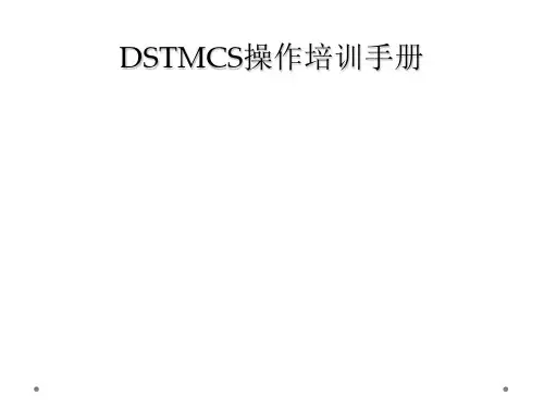DSTMCS操作培训手册