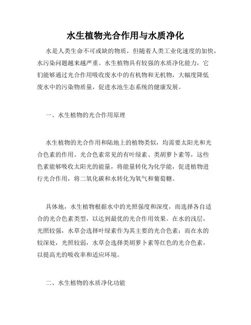 水生植物光合作用与水质净化