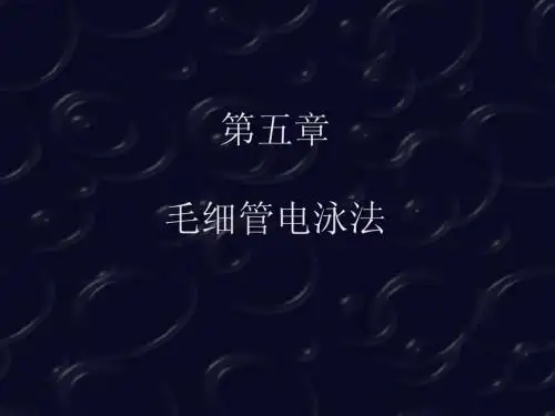 色谱5--HPCE