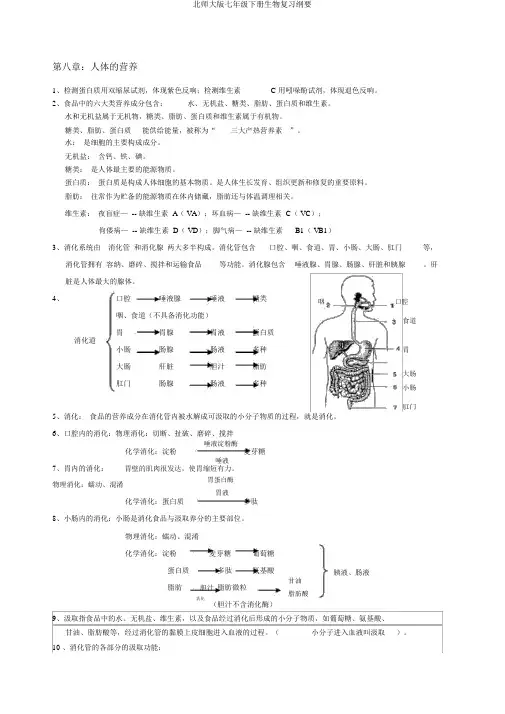 北师大版七年级下册生物复习提纲