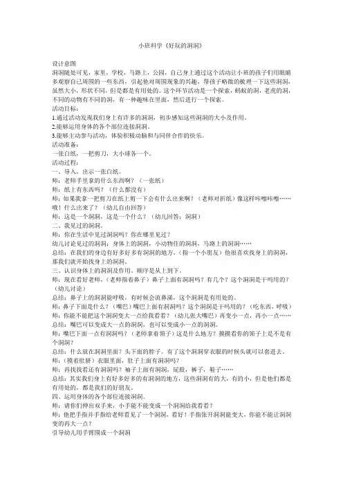 小班科学《好玩的洞洞》