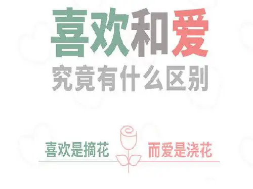 喜欢是什么