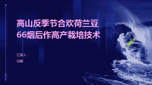 高山反季节合欢荷兰豆66烟后作高产栽培技术