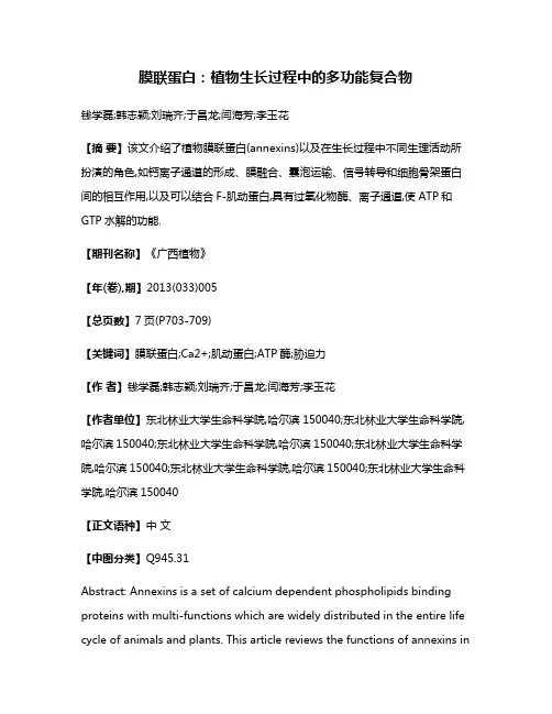 膜联蛋白:植物生长过程中的多功能复合物