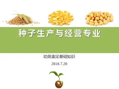 种子发芽试验—幼苗鉴定总则