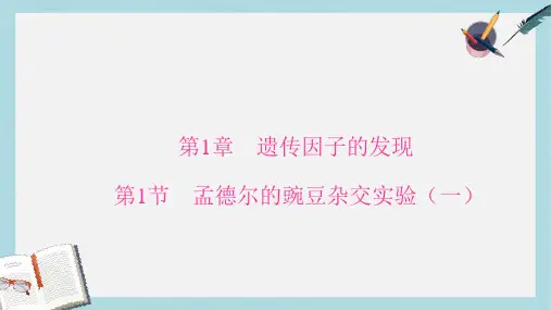 高中生物第1章遗传因子的发现第1节孟德尔的豌豆杂交实验一课件新人教版必修2