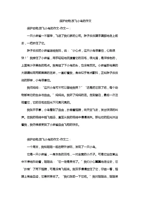 保护动物,放飞小鸟的作文