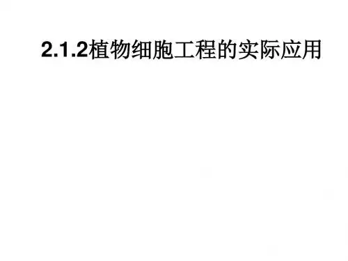 (201907)高二生物植物细胞工程的实际应用