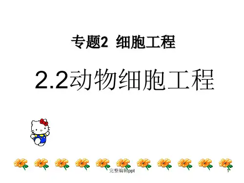 高中生物选修3(人教版)动物细胞工程ppt课件