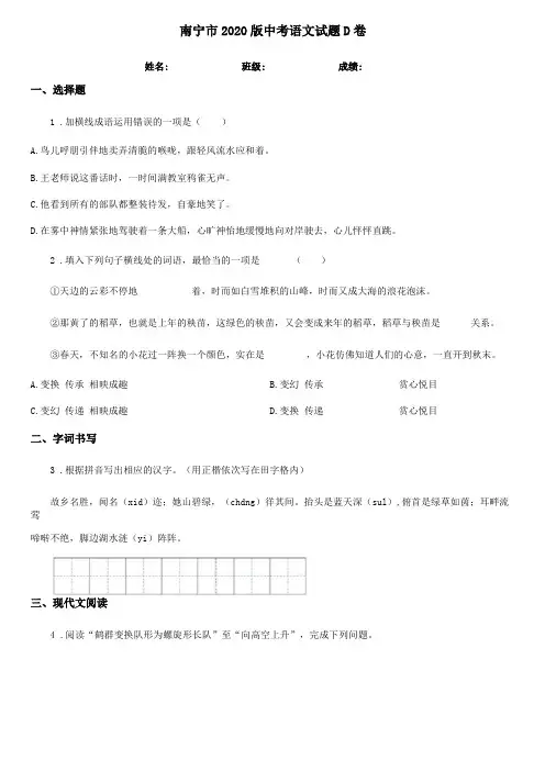 南宁2020版中考语文试题D卷