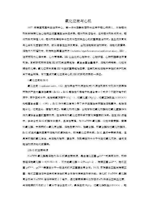 氧化应激与心肌