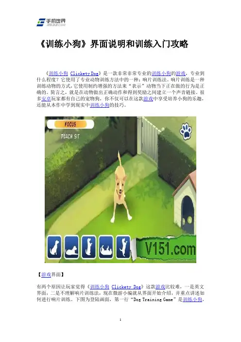 《训练小狗》界面说明和训练入门攻略