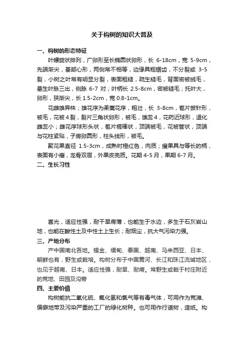 关于构树的知识大普及
