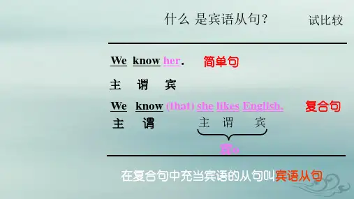 宾语从句 公开课   (19张ppt)
