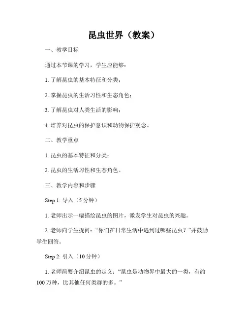 昆虫世界(教案)
