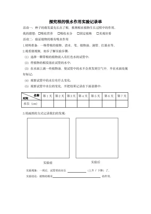 《1.3验证植物根的作用实验记录表》