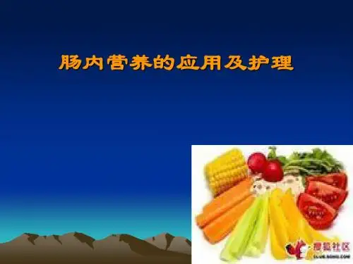 肠内营养